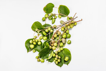 Ripe Actinidia arguta or kiwi isolated on white background
