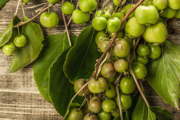 Ripe Actinidia arguta or kiwi on wooden boards background