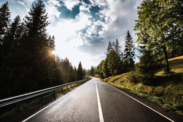 Fototapeta premium After rain