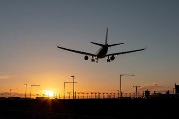 Fototapeta na wymiar Landing passenger plane during sunset.