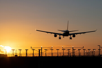 Naklejka na ściany i meble Landing passenger plane during sunset.
