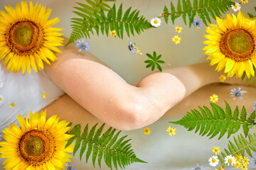 Legs on slender young sexy woman takeing bath with flowers, relaxing in romantic atmosphere, beauty cosmetic salon and spa for woman. top view on lady with slim perfect legs, enjoying