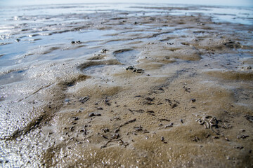 Wattenmeer