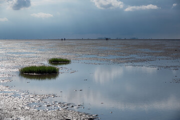 Wattenmeer