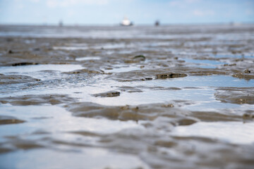 Wattenmeer
