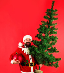 Smiling Bearded man in Santa Claus costume with fir tree and big Christmas ball. New year...