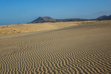 Low sun over the natural park in Corralejo Fuerteventura The Canary Islands spain