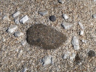 Mafitische Einschlüsse  - mafitic inclusions - granite  and granodiorite, Capo di San Andrea, Elba