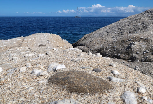 Mafitische Einschlüsse  - mafitic inclusions - granite  and granodiorite, Capo di San Andrea, Elba