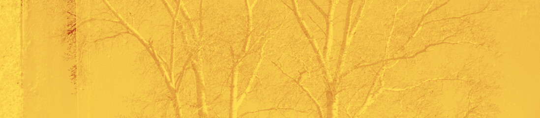 abstract yellow and red colors background for design