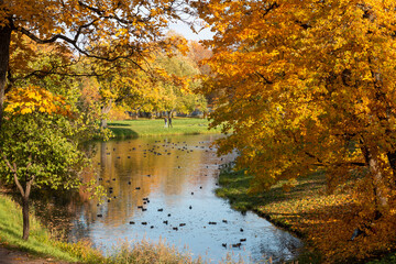 Autumn park and water