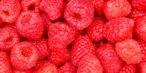 Raspberry berry raspberries berries fruits fruit background panorama