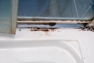 Mold fungus and rust growing in tile joints in damp poorly ventilated bathroom with high humidity,...