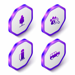Set Isometric Tree, Paw search, Thermos container and Safari car icon. Purple hexagon button. Vector