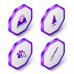 Set Isometric Hunt place, Tree, Paw search and Hunting gun icon. Purple hexagon button. Vector