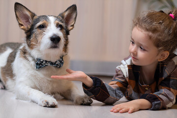 Close-up portrait of a little cute girl stretching out her hand to the dog, child and dog are playing, children and pets friendship.