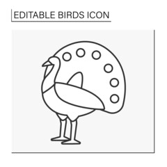 Peacock line icon. Peafowl with long and beautiful, colored tail. Feathers eye-like markings and erected and fanned out.Birds concept. Isolated vector illustration. Editable stroke