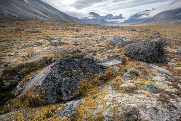 Cloudy day in the wild, remote arctic valley of Akshayuk Pass, Baffin Island, Canada. Iconic granite mountains on the distant horizon. Mt. Asgard in the far north. Big boulder in front, mossy floor.