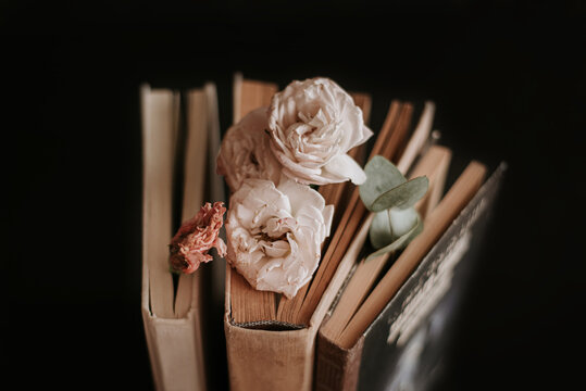 three old books and dried flowers