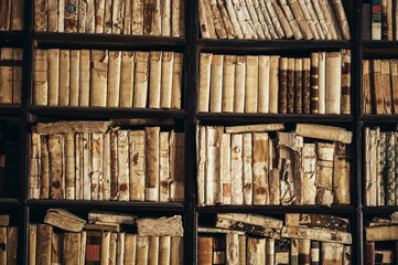 Wooden bookshelf full with old books
