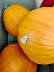 The three whole beautiful pumpkin are occurring on cardboard box for sale in the market