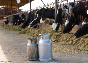 Obraz premium Image of two dairy canisters standing on a livestock farm and ready to be filled with milk