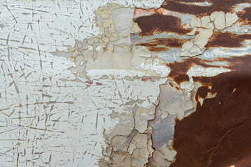 Peeling paint of old rusty car, Durable and weathered white metal surface.
