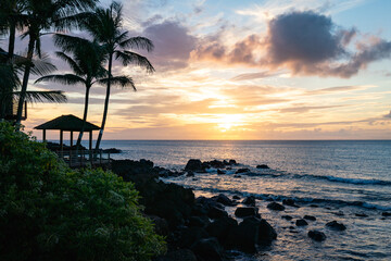 Sunset at beach with palm trees