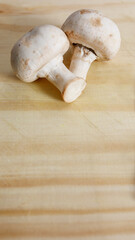 White mushrooms on wooden board. Copy space for text. Backgrounds.