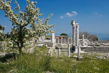 A tree in bloom and spring wildflowers enhance a view of the white-columned ruins of the Temple of...