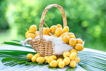 Yellow date palm in the basket with leaves on blur background, Fresh yellow date palm fruit over blurred greenery background.