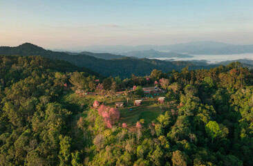Fototapeta na wymiar Aerial View of Doi Mae Taman, San Pa Kia. Mountains in the morning and the sea of mist, Doi Mae Taman, San Pa Kia. Chiang Mai Province, Thailand. Pink Cherry blossom. Camping.