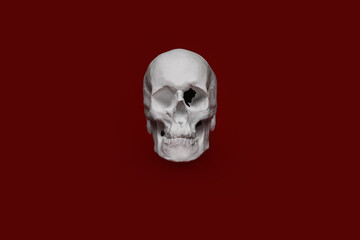 Human skull on color background