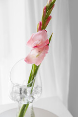 Vase with gladiolus flowers on table in room