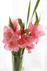 Vase with gladiolus flowers in room, closeup