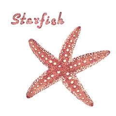 Starfish isolated on a white background. Hand-drawn sketch.