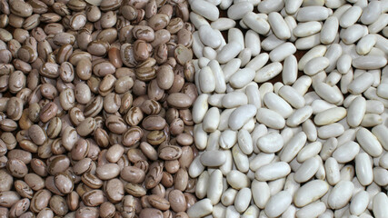 Carioca beans and navy beans close up. Beans background. Grains present in Brazilian cuisine
