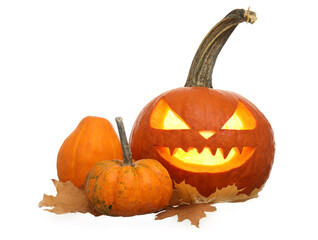 Carved and whole pumpkins for Halloween on white background