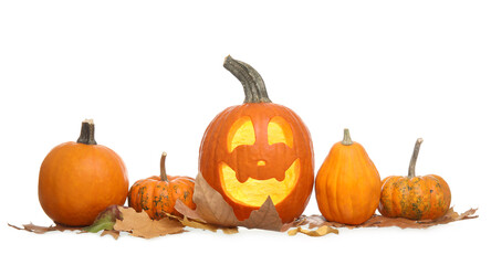 Carved and whole pumpkins for Halloween on white background