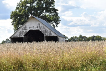 Old Barn in a Field