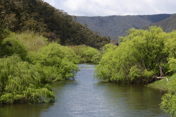 Fototapeta na wymiar Mitta Mitta River, Victoria Australia.