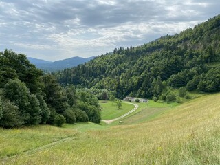 Mountain pastures and mixed forest along the accumulation Lokvarsko lake, Lokve - Croatia (Planinski pašnjaci i goranska miješana šuma uz akumulacijsko Lokvarsko jezero, Lokve - Gorski kotar, Hrvatska