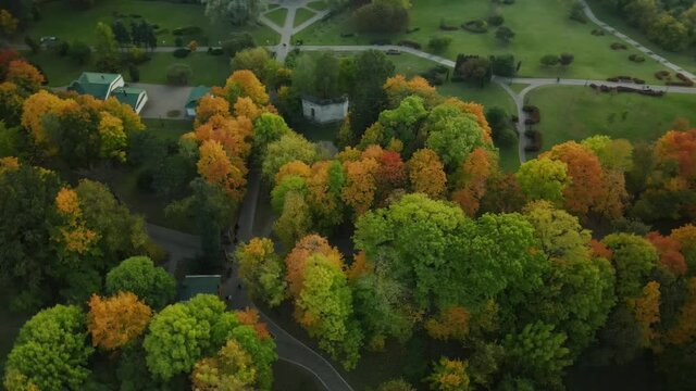 Flight over the autumn park. Trees with yellow autumn leaves are visible. Aerial photography.