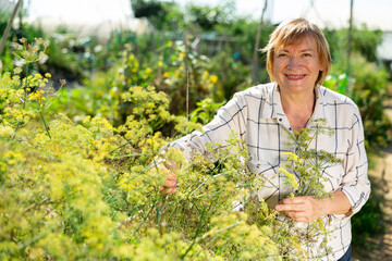 Mature female farmer working in garden, cultivating plants