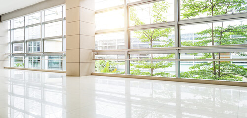 Empty corridor in modern office building with green tree outside the window
