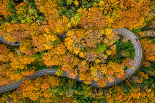 Having a trip in the autumn season, driving by car through the wonderful foliage. Top down shot by a drone.
