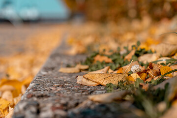 Fallen yellow, orange, golden autumn leaves on a stone pavement. Bokeh background. Beautiful autumn landscape (1505)