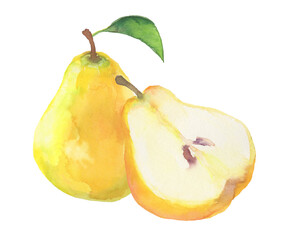 水彩で描いた洋梨のイラスト