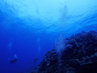 Fototapeta na wymiar 恩納村海底のサンゴ（沖縄） 