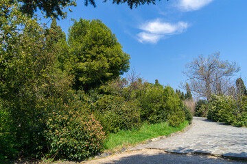 Fototapeta na wymiar Image of a walkway in the spring park.